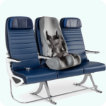 Booster Car Seats