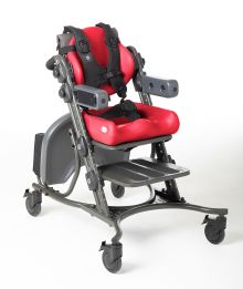 Special Tomato CatchUp Chair