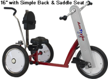 AmTryke 16" LARGE Special Needs Tricycle